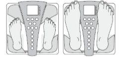 Hướng dẫn sử dụng chức năng chỉ đo trọng lượng với cân sức khỏe và phân tích cơ thể Tanita Innerscan BC-587