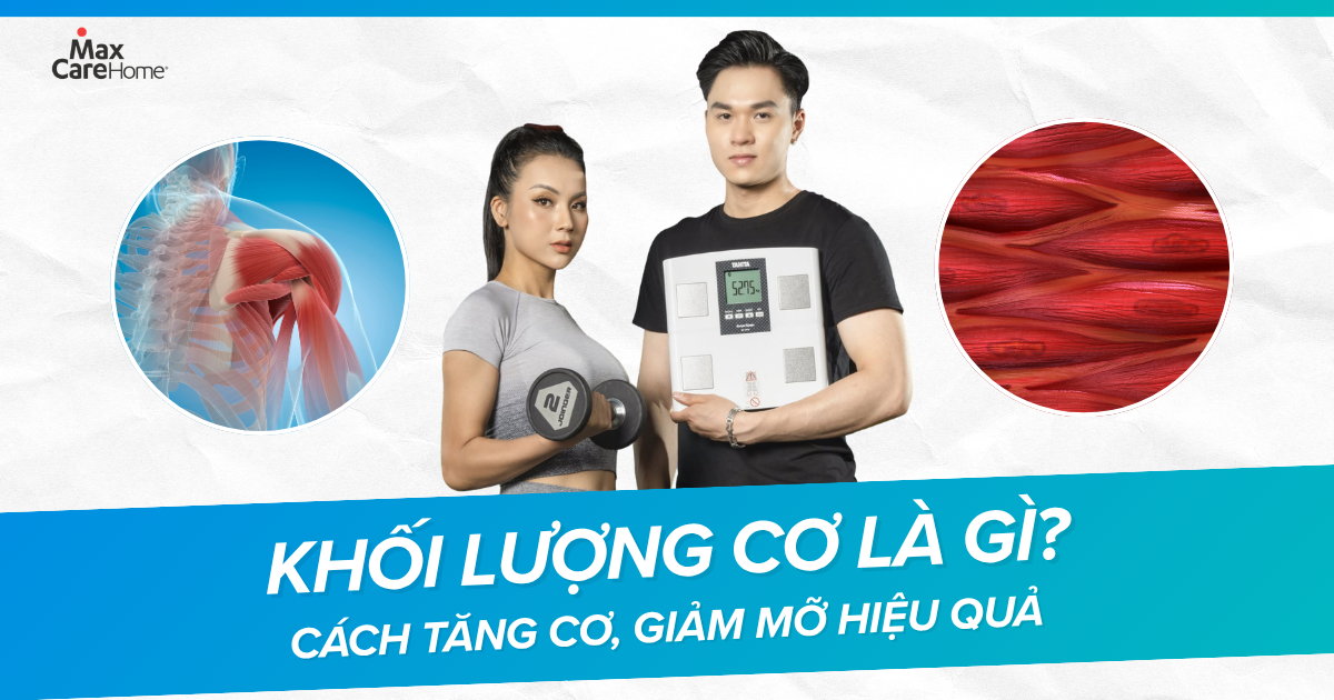 Khối lượng cơ l&agrave; g&igrave;? C&aacute;ch tăng cơ, giảm mỡ tự nhi&ecirc;n để cơ thể khỏe đẹp từ b&ecirc;n trong