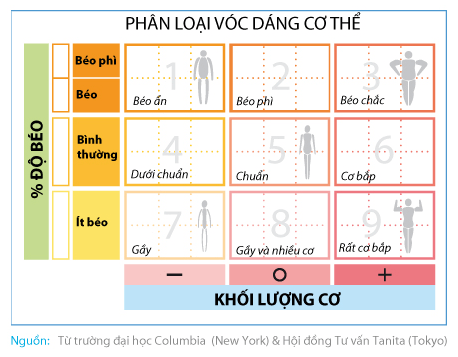 phân loại vóc dáng