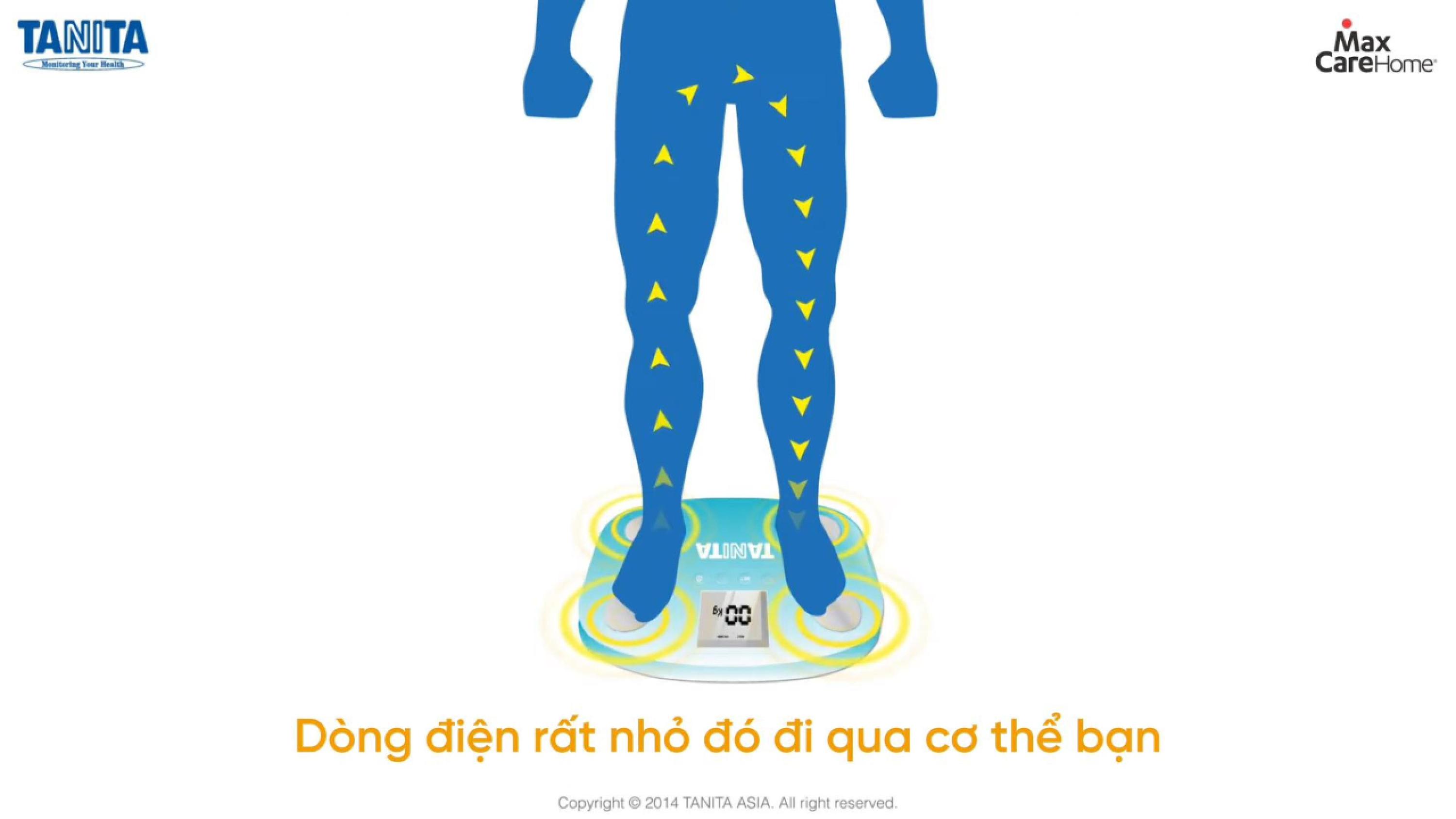 Vì sao cân sức khỏe Tanita đo được thành phần cơ thể?
