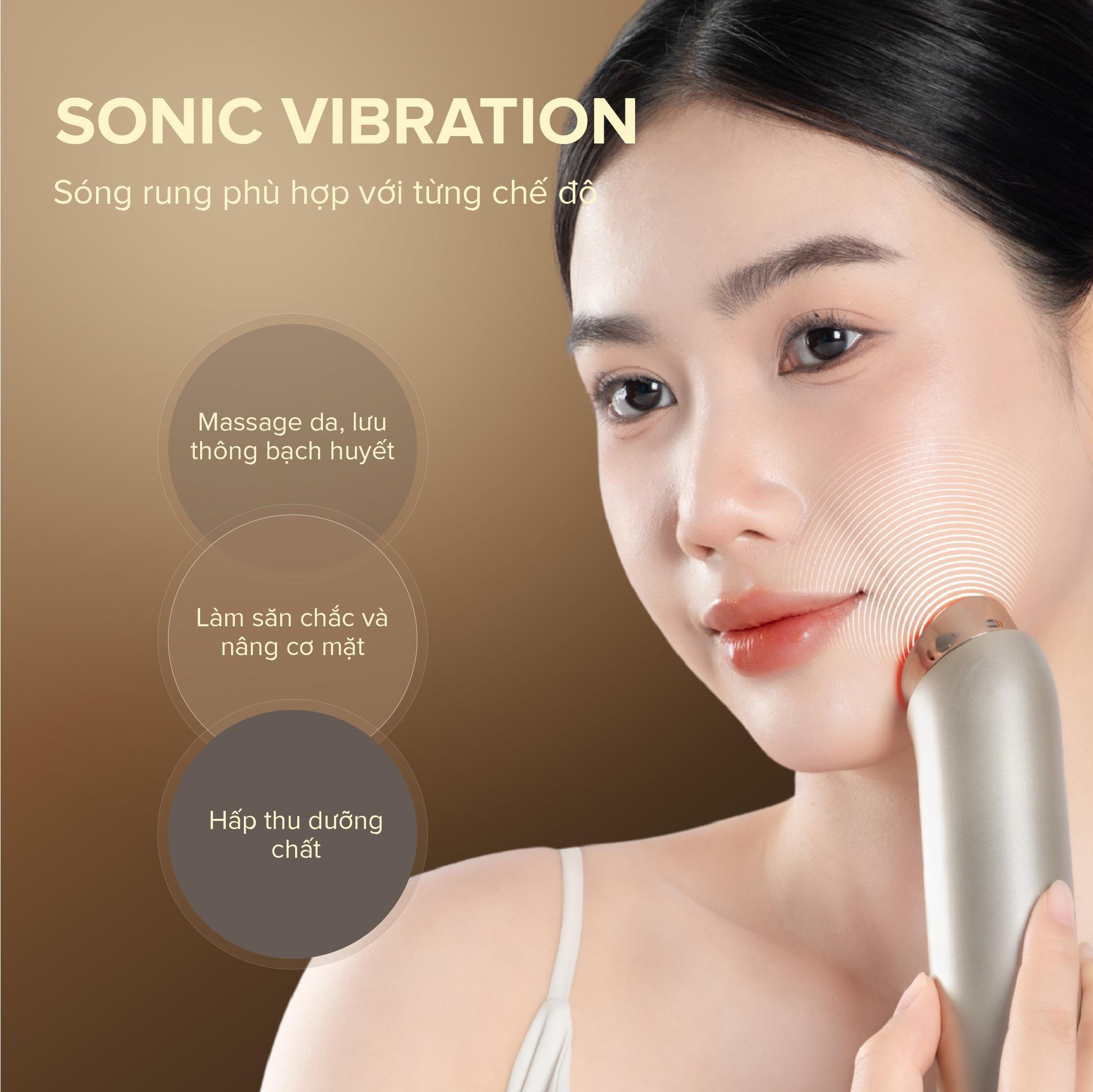song rung sonic