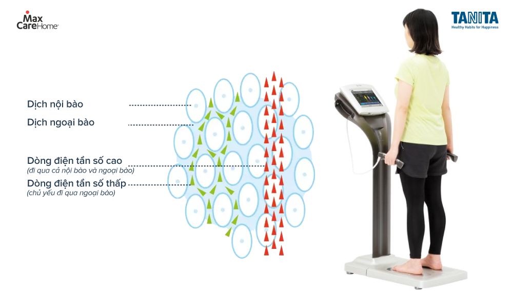 Công nghệ phân tích trở kháng điện sinh học B.I.A đa tần dùng 3-6 dòng điện khác nhau, là cấp độ chính xác cao nhất